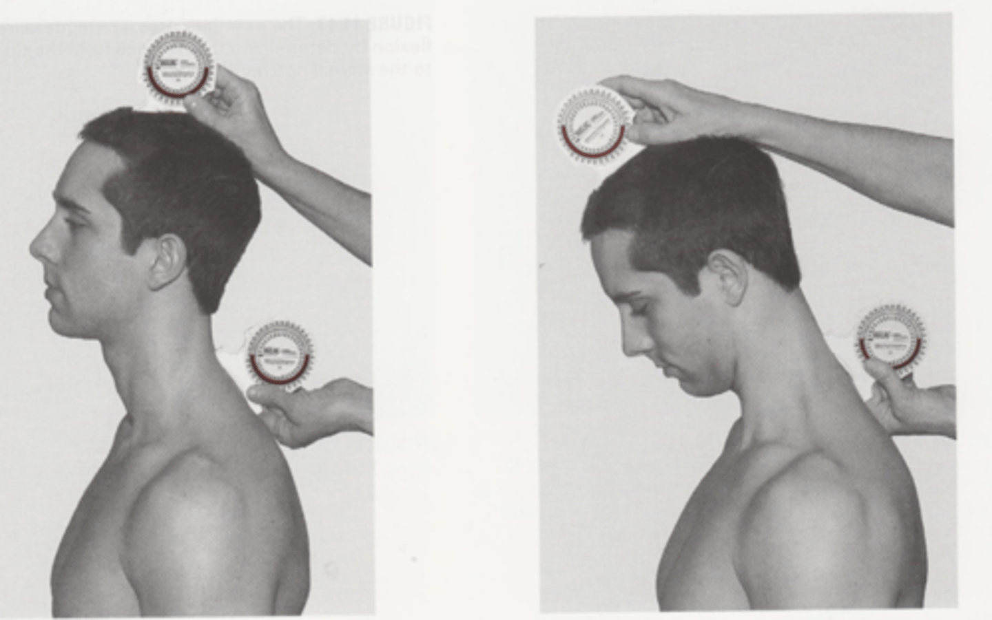 <p>T1 and top head (subtract 2 measurements)<br><br>* make sure inclinometers perpendicular to head</p>