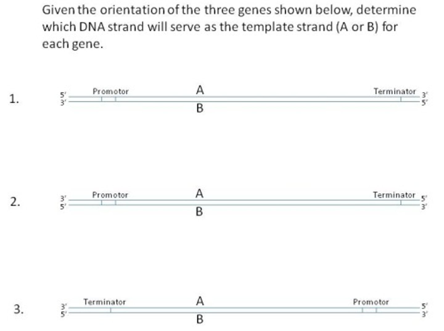 <p>Gene 1</p>