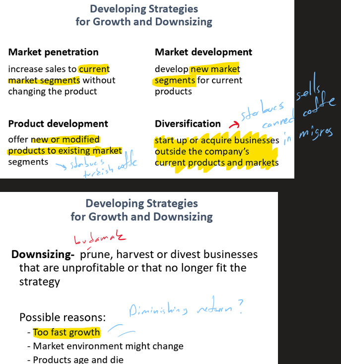 <p>Marketing Management/3. Marketing Strategy/ 3. Strategy Planning</p>