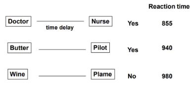 <p>lexical decision task</p>