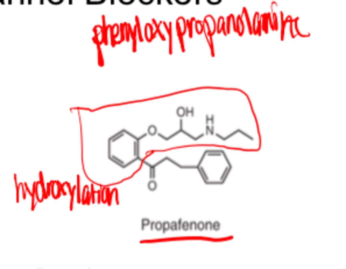 <p>- CYP2D6</p><p>- fast</p><p>- slow</p>