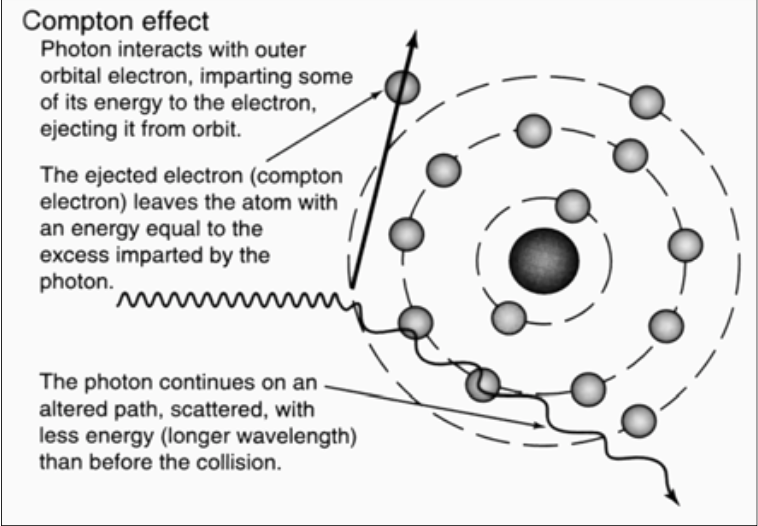 <p><span><strong>[...]</strong></span></p><ul><li><p>Description<br></p><ul><li><p>Photon interacts with outer orbital electron, imparting some energy to the outer orbital electron and ejects it from the orbit</p><ul><li><p>Ejected electron is called the <span>Compton electron</span>, which has an energy equal to the excess imparted by the photon</p></li></ul></li><li><p><span>Photon, as a result, is scattered with less energy due to the collision (less energy means larger wavelength in the end)</span></p></li></ul></li></ul><p></p>