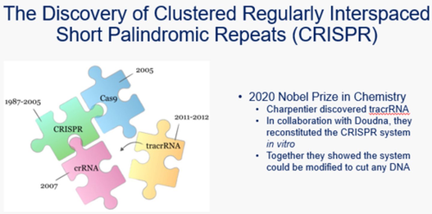 <p>Clustered Regularly Interspaced Short Palindromic Repeats - a revolutionary discovery that lead to the ability to edit genes in vivo. This can help with genetic diseases, Aids, cancer, etc.</p>