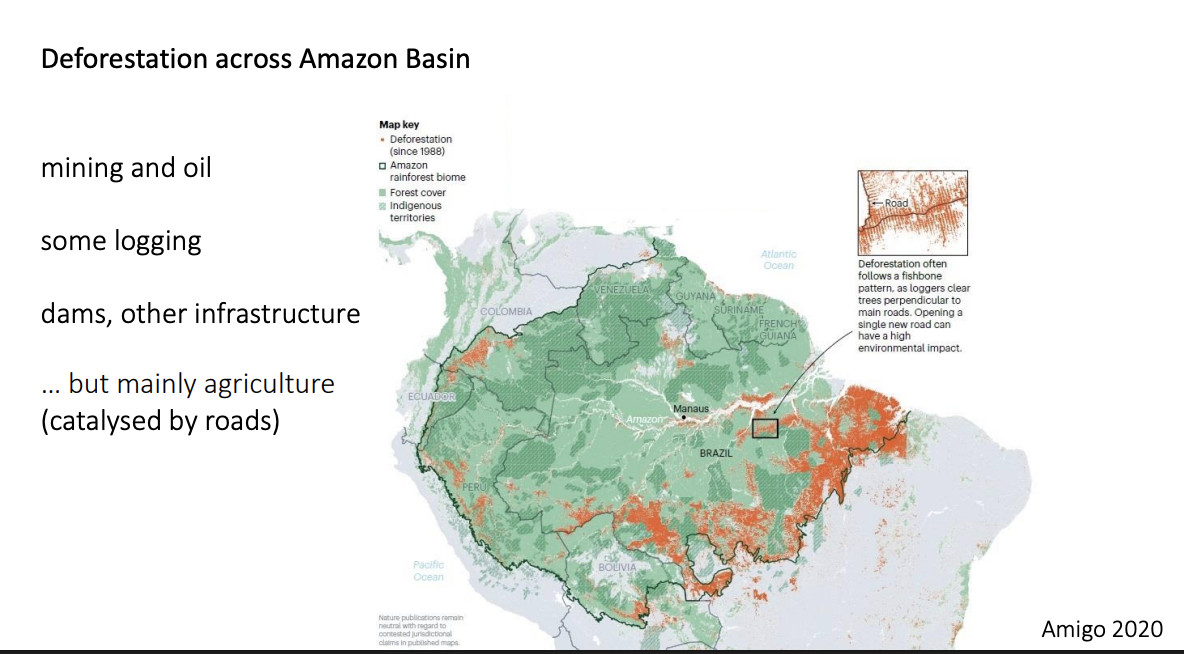 <ul><li><p>domestic demand of land</p></li></ul><p>but also</p><ul><li><p>global markets:</p><ul><li><p>Cattle ranching and soy production</p></li><li><p>driven by the rising pig production in China and he EU ban on pigswill</p></li></ul></li></ul><p></p>
