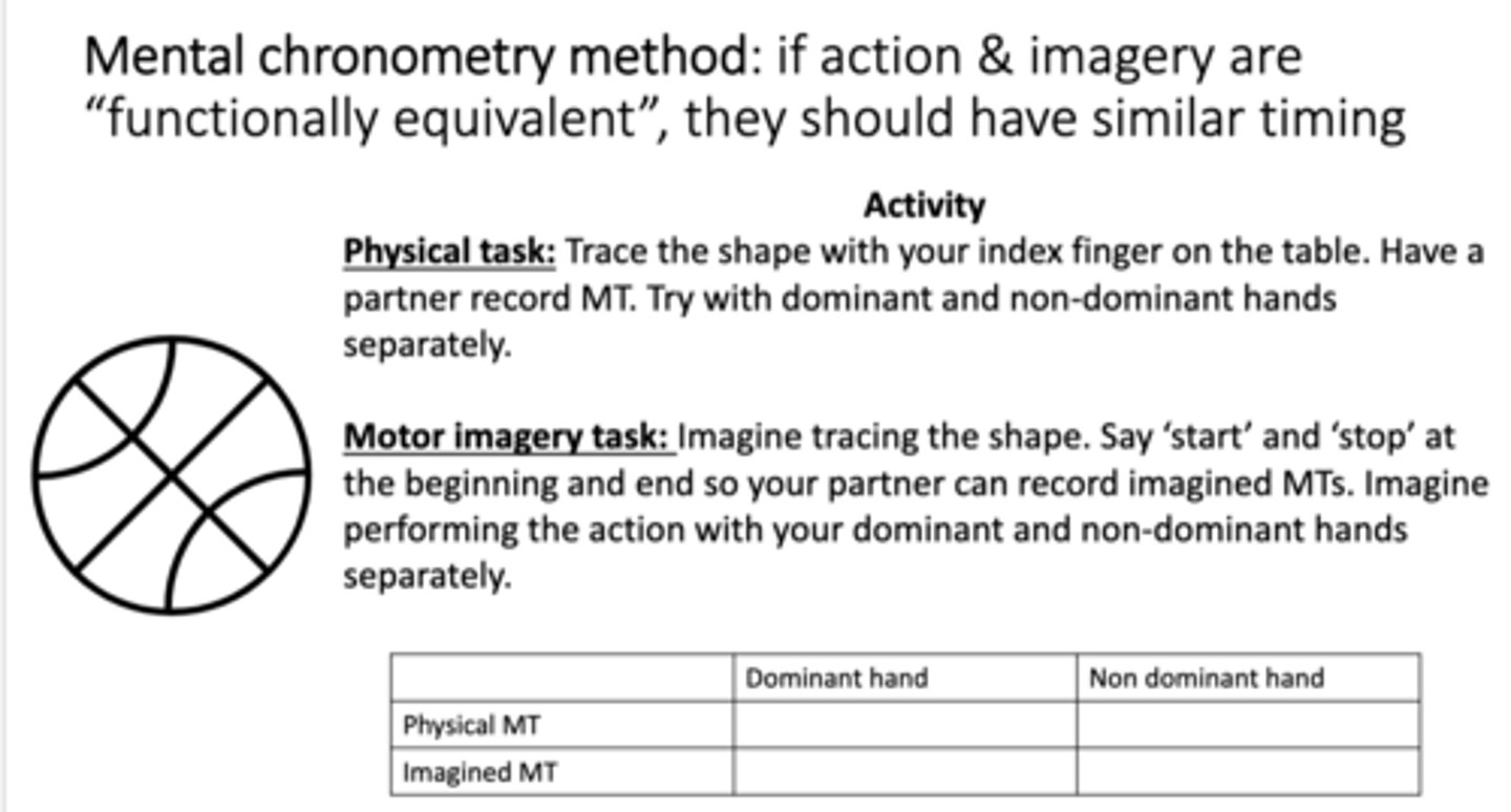 <p>If action and imagery are “functionally equivalent”, they should have similar timing</p><p></p><p>ie. similar times between imagined vs physical action bc action and imagery are ‘functionally equivalent’ </p>