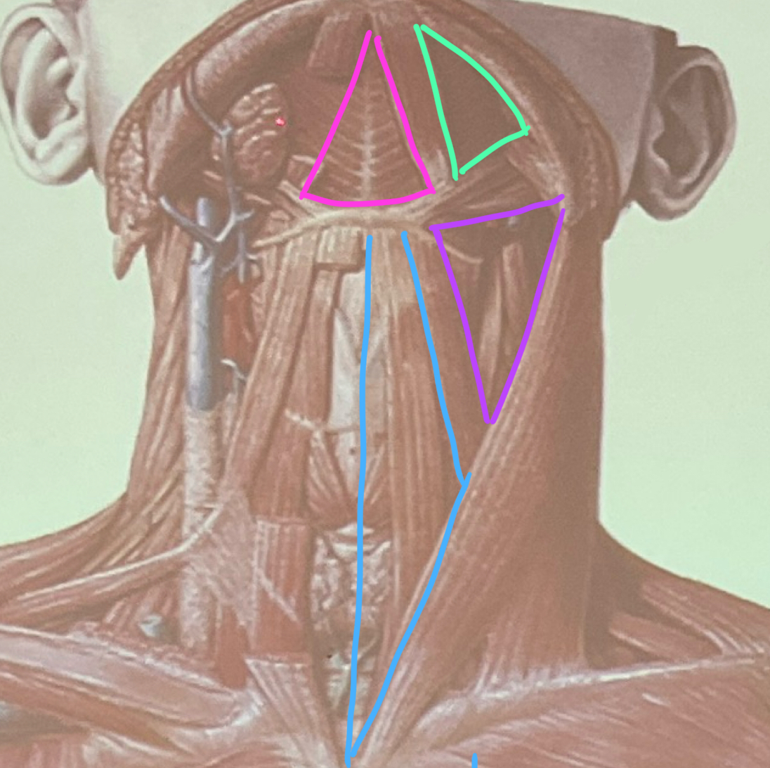 <p>pembe alan</p>