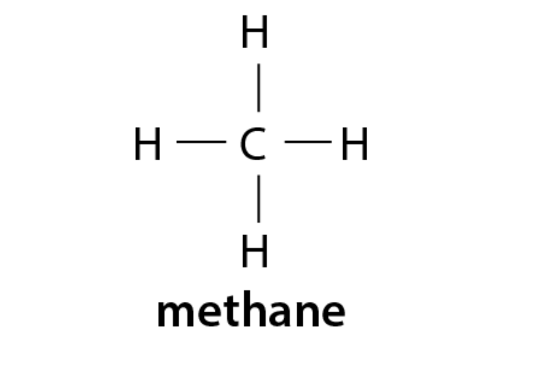 <ul><li><p>find longest carbon chain (may not be straight)</p></li><li><p>"end with ‘ane’, in between branches end in “yl” and halogens end with ‘o” with the corresponding carbon # </p></li></ul><ul><li><p>saturated hydrocarbon</p><p>- no multiple(double/ triple)bonds</p><p>- holds max amount of hydrogens</p></li><li><p>unsaturated hydrocarbon</p><p>-has multiple bonds</p></li></ul>