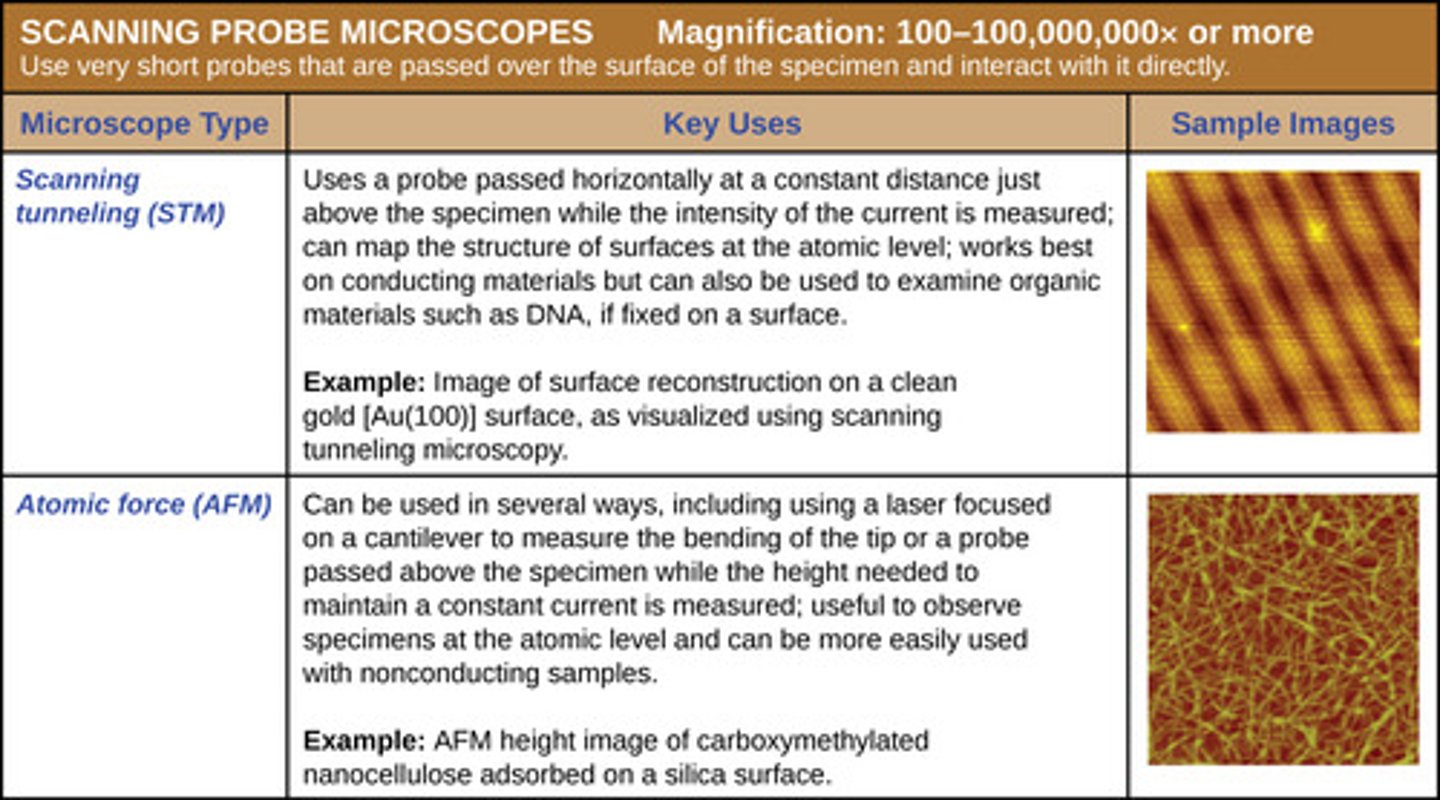 <p>1.) Atomic force microscopy (AFM): Measures surface forces</p><p>2.) Scanning Tunnel Microscopy (STM): Maps electron density</p>