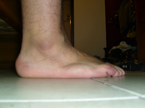 <p>ankle</p>