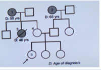 <p>This pedigree depicts a family in which several women developed</p><p class="p1">breast CA. The proband wants to know if she is a carrier of a mutation for hereditary breast CA. Which family member should receive genetic testing first?</p><p class="p1">a. #1</p><p class="p1">b. #2</p><p class="p1">c. #3</p><p class="p1">d. #4</p><p class="p1">e. #5</p>