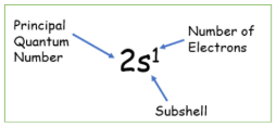 <p>The arrangement of electrons in an atom. Electrons are arranged around the nucleus in principal quantum shells</p><p><strong>PRINCIPLE QUANTEM SHELLS</strong></p><ul><li><p>used to number the energy levels of quantum shells</p></li><li><p>the higher the principal quantum number, the higher the energy of the shell, greater distance it is from the nucleus<br>&gt;  n=1: up to 2 electrons<br>&gt; n=2: up to 8 electrons<br>&gt; n=3: up to 18 electrons<br>&gt; n=4: up to 32 electrons</p></li></ul><p></p>