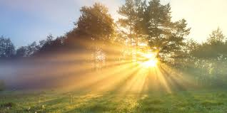 <p>Needed by plants to produce sugars; also heats parts of the Earth to create wind and rain.</p>