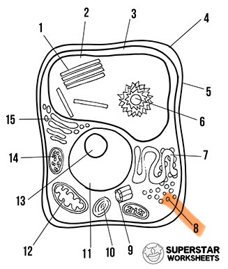 <p>What is the highlighted area called</p>