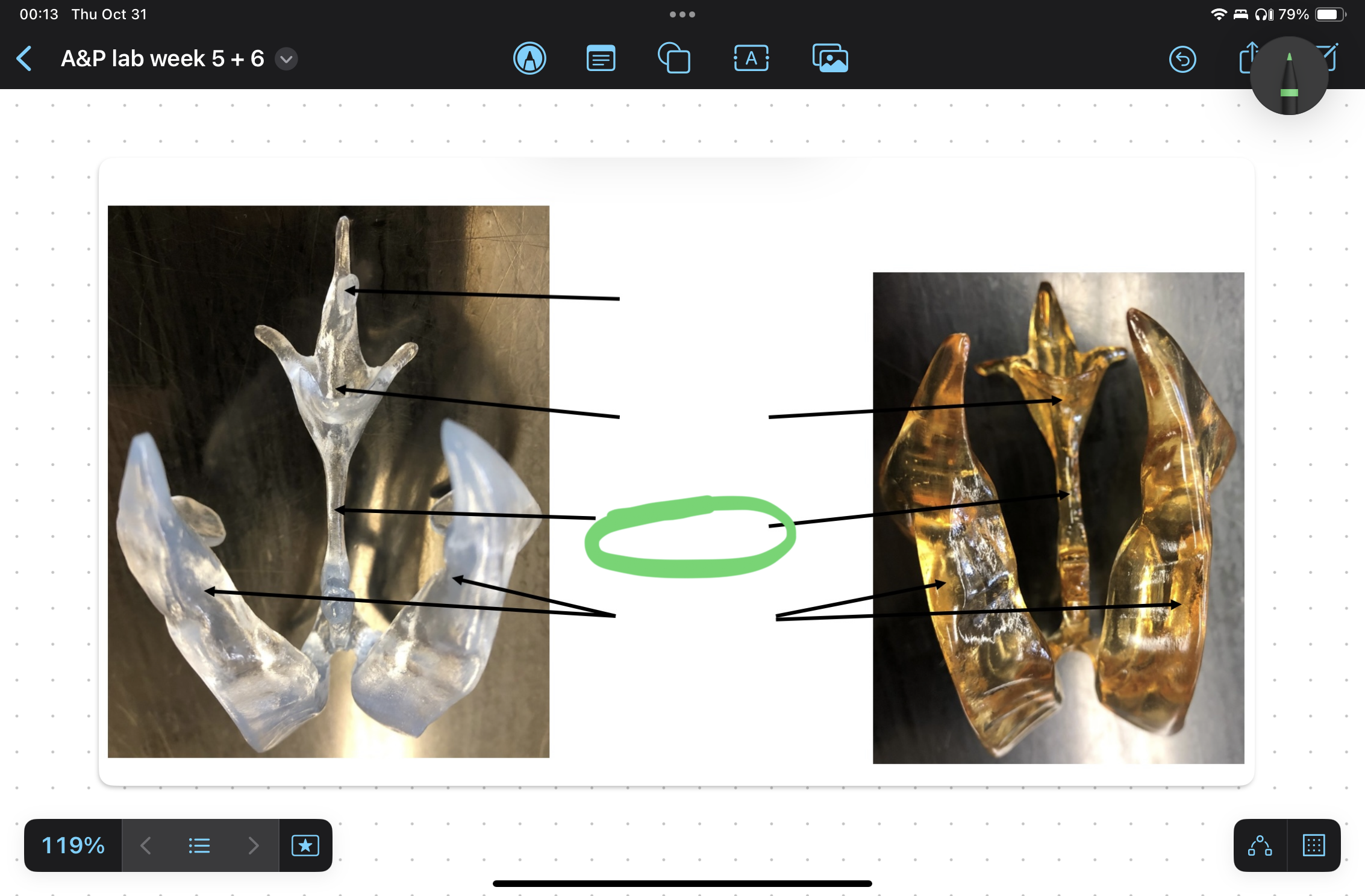 knowt flashcard image