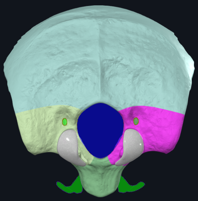 term image