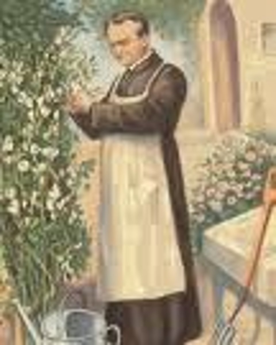 <p>an Austrian monk who discovered the basic principles of heredity through experiments in his garden</p>