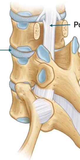 <p>top to bottom </p>