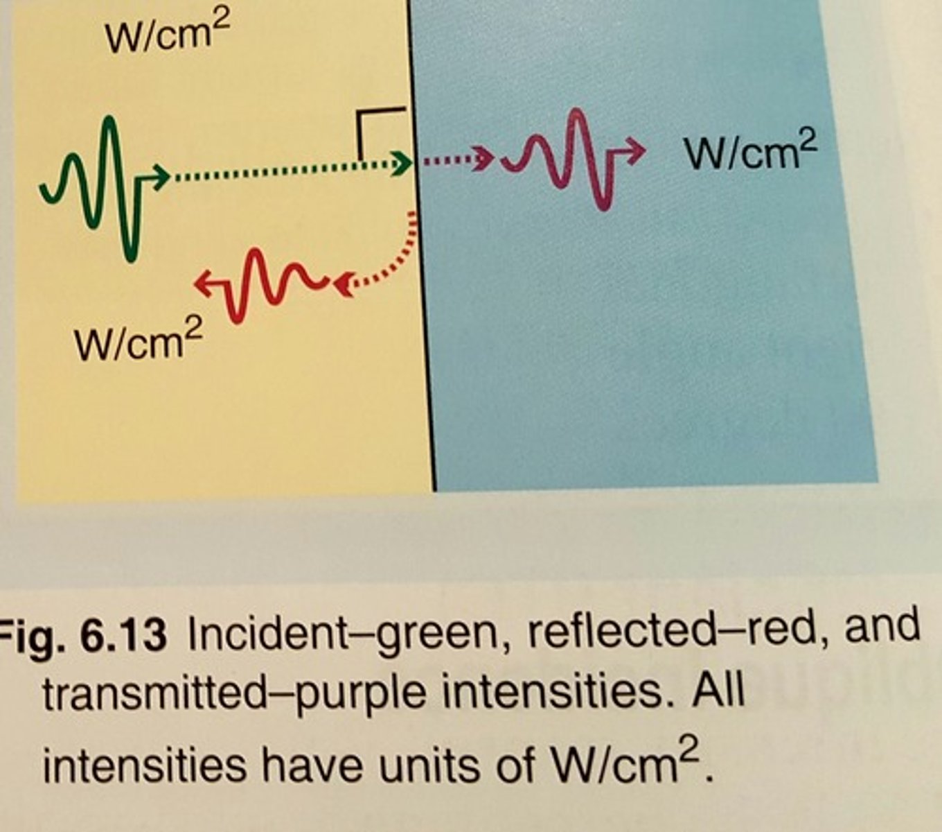 <p>reflected intensity + transmitted intensity</p>