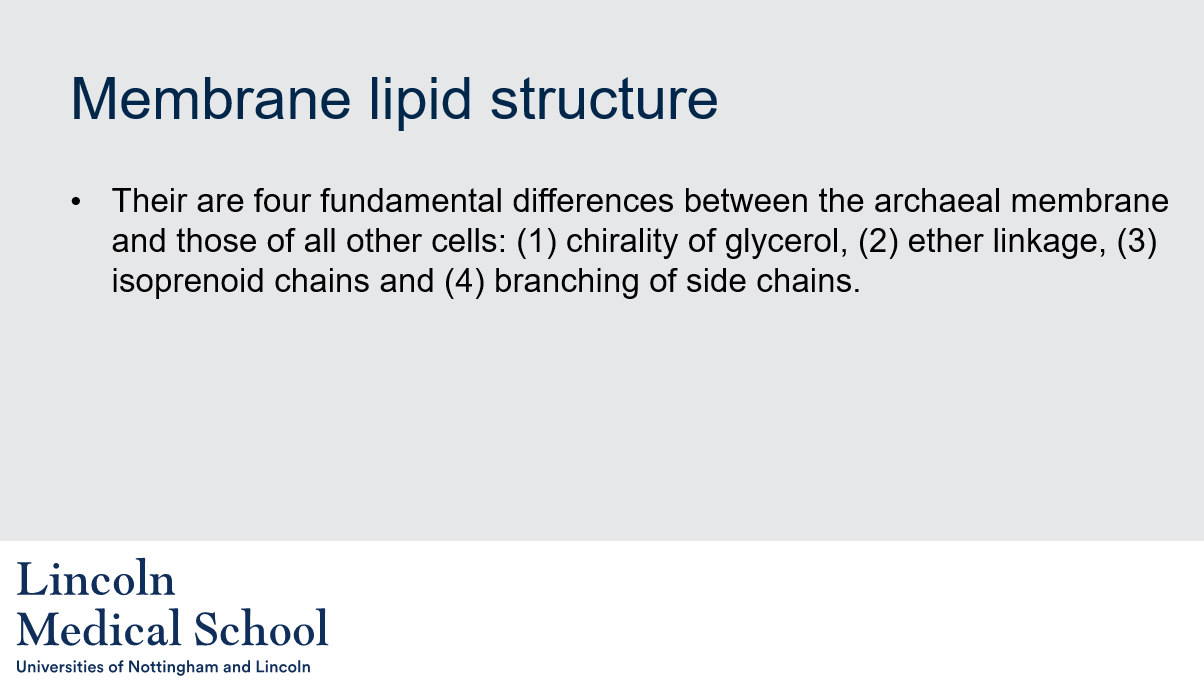 <p>There are four fundamental differences:</p><ul><li><p>chirality of glycerol</p></li><li><p>ether linkage</p></li><li><p>isoprenoid chains</p></li><li><p>branching of side chains</p></li></ul>