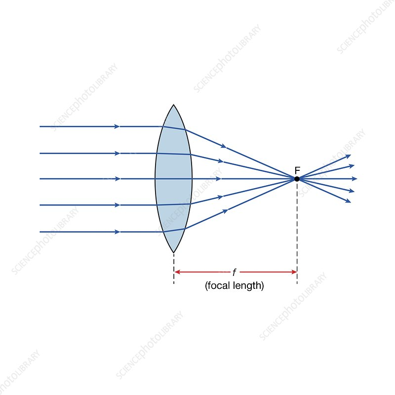 <p><br><span><span>Name the type of lens in this image</span></span></p>