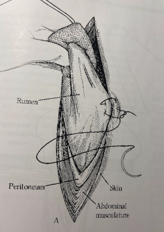 <img src="https://knowt-user-attachments.s3.amazonaws.com/1a0549fd-6071-445f-a47c-9fdec0cc8f98.png" data-width="100%" data-align="center"><p></p>