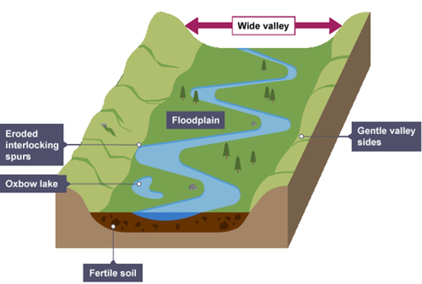 <p>. erosion removes any interlocking spurs, creating a wide, flat area on either side of the river</p><p>. during a flood, material being carried by the river is deposited</p><p>. over time, the height of the floodplain increases as material is deposited on either side of the river</p>