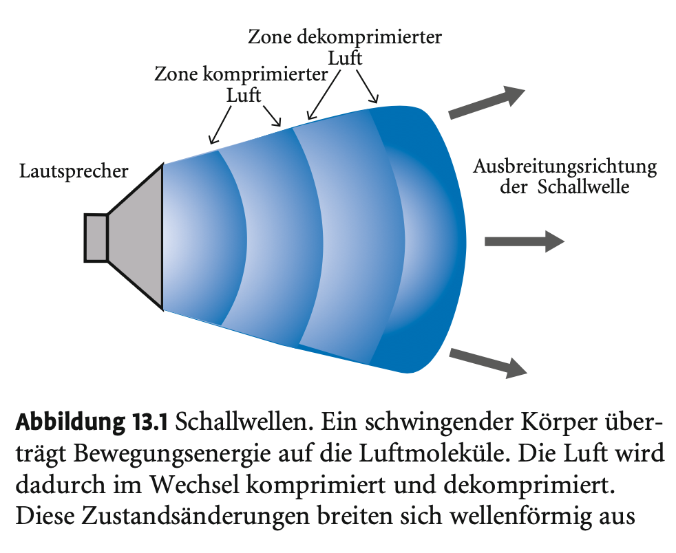 <p><span><strong>Was ist Schall?</strong></span></p><p>&nbsp;</p><ul><li><p><span><strong>Adäquater Reiz für das Gehör</strong> ist <strong>Schall</strong> – also mechanische Wellen, die sich in einem elastischen Medium (meist Luft) ausbreiten.</span></p></li><li><p><span><strong>Schallquellen</strong> sind Körper, die Schwingungen erzeugen können. Diese Schwingungen erzeugen <strong>Verdichtungs- und Verdünnungszonen</strong> in der Luft, die sich <strong>wellenförmig ausbreiten</strong>.</span></p></li><li><p><span>Die Ausbreitung entsteht durch <strong>Impulsübertragung</strong>: Moleküle stoßen an benachbarte Moleküle, wodurch sich die Schwingung fortsetzt.</span></p></li><li><p><span><strong>Schallgeschwindigkeit in Luft</strong>: ca. <strong>335 m/s</strong>.</span></p></li></ul><p>&nbsp;</p><p></p><p><span><strong>Wie wird Schall wahrgenommen?</strong></span></p><p>&nbsp;</p><ul><li><p><span>Schallwellen treffen auf das <strong>Trommelfell</strong>, das dadurch zu Schwingungen angeregt wird.</span></p></li><li><p><span>Diese Schwingungen werden in einem <strong>mehrstufigen Prozess</strong> (über Mittelohr, Innenohr, Haarzellen) in <strong>Nervenimpulse</strong> transformiert.</span></p></li></ul><p>&nbsp;</p><p>&nbsp;</p><p>&nbsp;</p><p><span><strong>Arten von Schall</strong></span></p><p>&nbsp;</p><ul><li><p><span><strong>Reiner Ton</strong>: nur eine Frequenz (z.B. Stimmgabel).</span></p></li><li><p><span><strong>Klang</strong>: Grundfrequenz + Obertöne (z.B. schwingende Saite).</span></p></li><li><p><span><strong>Geräusch</strong>: komplexes Frequenzgemisch <strong>ohne systematischen Zusammenhang</strong>.</span></p></li></ul><p></p>