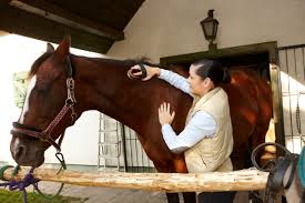 <p><strong>a person whose job is to take care of and clean horses</strong></p><p><br></p>