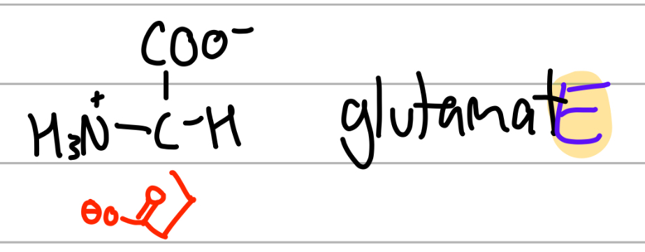 <p>-CH2CH2CO(O-);</p><p>E= gluEtamate ,Glu;</p><p>negative charged second carbonyl</p>