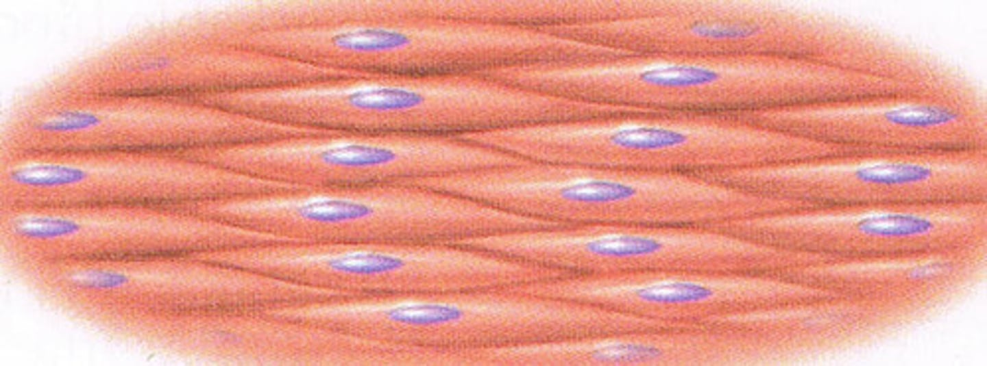 <p>thick in the middle, thin at ends</p>