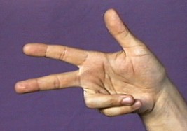 term image