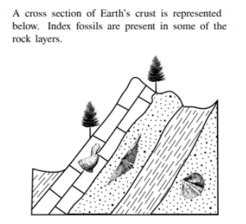 <p>These rock layers indicate evidence of past crustal movement bases on the principle of?</p>