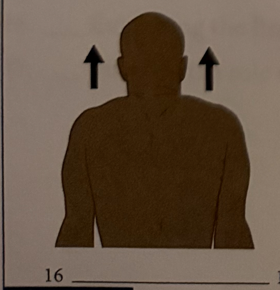 <p>raising the heel of the foot</p>