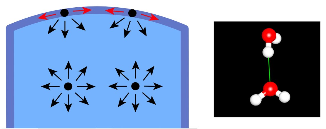 <p>measure of how difficult it is to stretch or break the surface of a liquid</p>