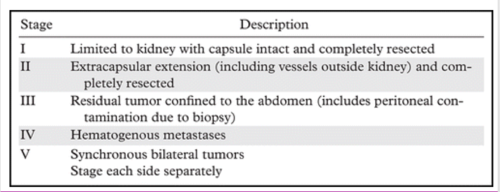I: limited to kidney and completely excised w/o rupture or biopsy- renal capsule intact
II: tumor extends through renal capsule but all is removed- vessels outside kidney contain tumor - OR "local spillage on removal"
III: residual tumor confined to abd - involvement of abd lymph nodes- "diffuse" contamination by rupture- microscopic margins positive post resection
IV: hematogenous metastasis at any site
V: bilateral renal involvement