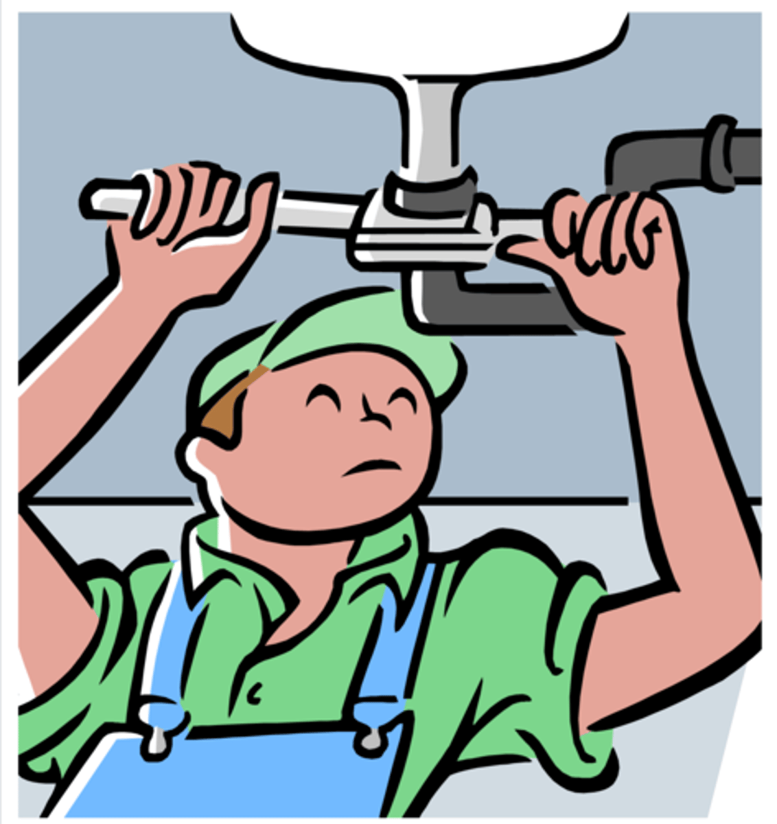 <p>plumber</p>