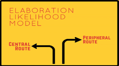 <p>-Petty and Cacioppo </p><p>-There are 2 routes of persuasion: Central Route and Peripheral Route.</p>