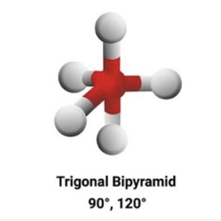 <p>Trigonal Bipyramid • 90°, 120°</p>