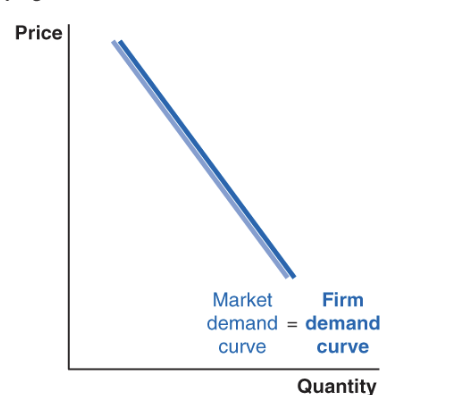 <p>also market demand curve</p>