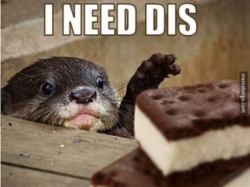 I need
