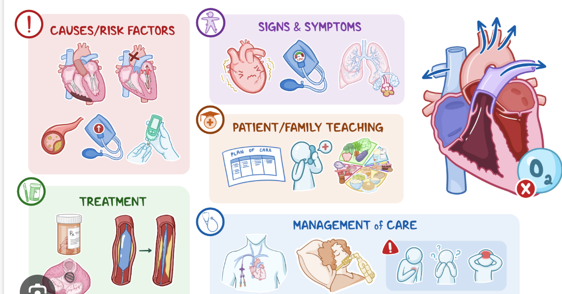 <p><span style="background-color: transparent;">Mesures: </span></p><ul><li><p><span style="background-color: transparent;">Continuous monitoring: ABGs, lactic acid levels, central venous oximetr</span></p></li><li><p><span style="background-color: transparent;">PA catheter may be used for accurate measurement of pressures and CO</span></p></li><li><p><span style="background-color: transparent;">Lab results eventually show <strong>organ dysfunction</strong> if shock progresses</span></p></li></ul><p><strong>Goals:</strong></p><ul><li><p>Correct underlying cause (e.g., PCI for MI)</p></li><li><p>Reduce cardiac workload</p></li><li><p>Improve oxygenation</p></li><li><p>Restore tissue perfusion</p></li></ul><p><strong>Interventions:</strong></p><ul><li><p><strong>Arrhythmia management:</strong> Treat causative rhythm disturbances</p></li><li><p><strong>Fluid management:</strong></p><ul><li><p>Hypervolemia → diuretics, vasodilators, or mechanical support</p></li><li><p>Hypovolemia → IV fluids (NS, LR, albumin)</p></li></ul></li><li><p><strong>Oxygen therapy:</strong> Supplemental O₂, possible positive-pressure ventilation</p></li><li><p><strong>Mechanical ventilation:</strong> Optimize oxygenation, reduce energy demand</p></li><li><p><strong>Activity:</strong> Strict bed rest to minimize cardiac workload</p></li><li><p><span style="font-family: "Times New Roman", serif; line-height: 115%;">Renal replacement therapy</span></p></li></ul><p></p>