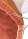 <p>what is this?</p>