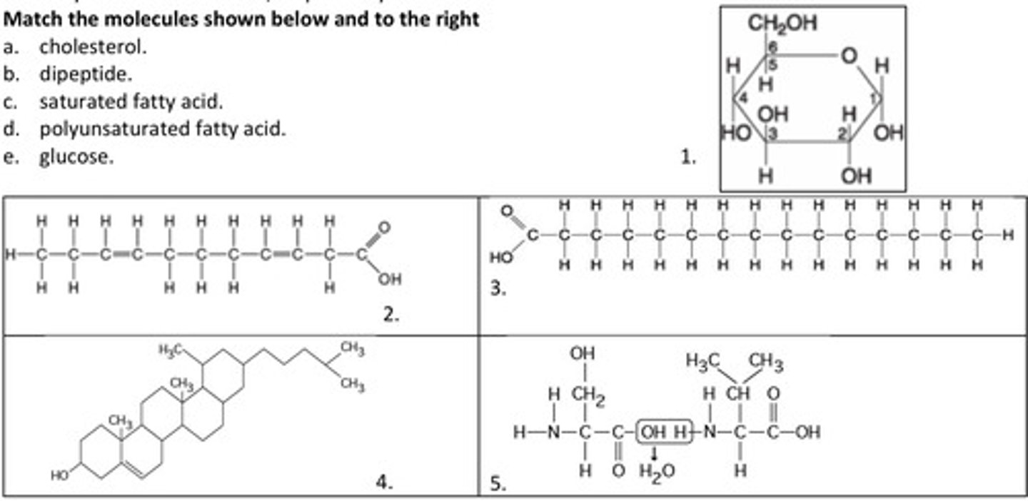 <p>It results in a peptide bond.</p>