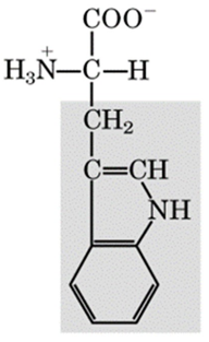 <p>recognize this structure</p>