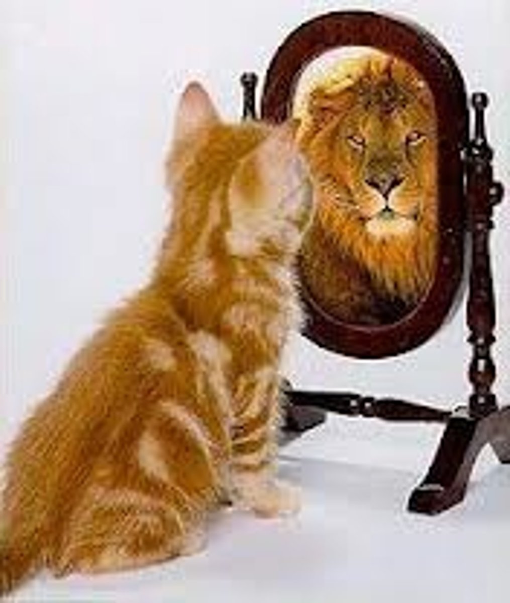 <p>False belief (misconception, fallacy)</p>