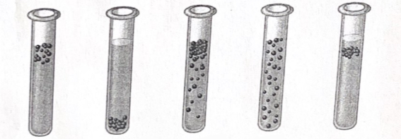 <p><span>Which of the following culture tubes most likely contains a methanogen?</span></p>