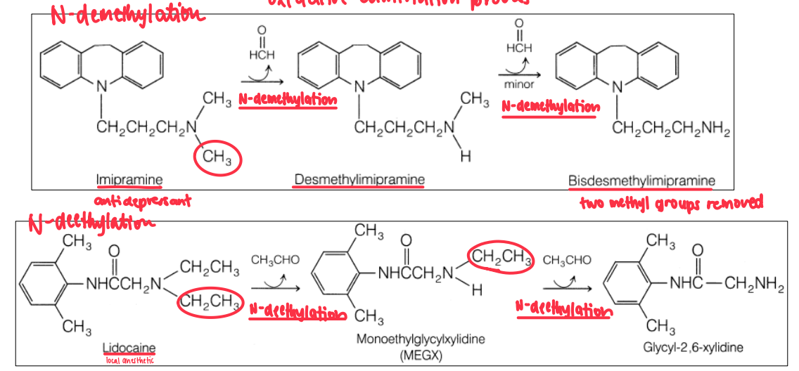 <ul><li><p>Removal of alkyl group</p></li></ul><p></p>