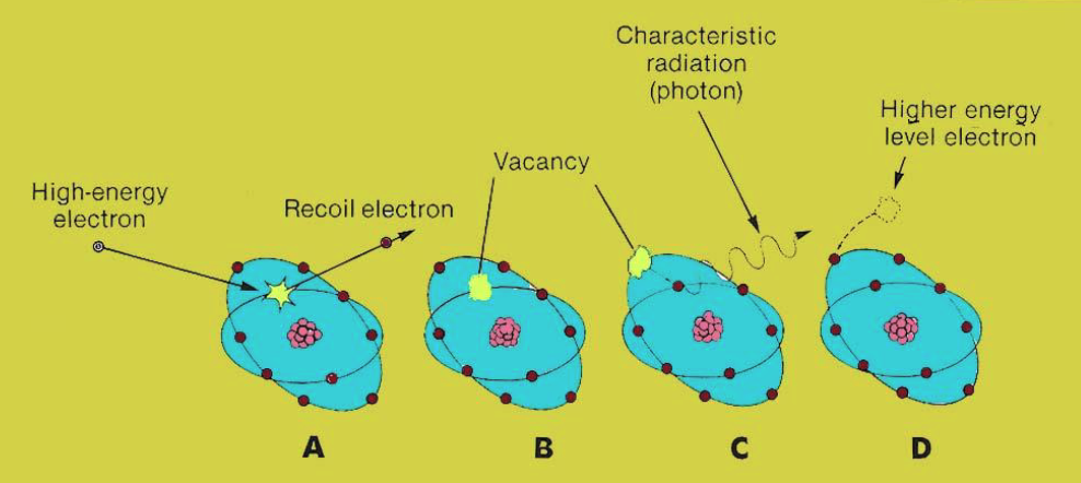 <p>high energy electron interacts w/ an<strong> inner shell electron</strong> + <strong>knocks it out of orbit</strong> → its vacancy is filled w/ an <strong>outer shell electron→ difference in energy level</strong> between outer + inner shell is released via x-ray photon </p>