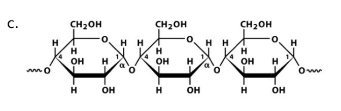 <p>a-1,4-glucosidic bonds</p>