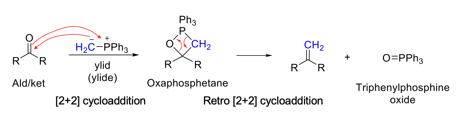 <p><strong>Notes:</strong></p><p>Unstabilized ylids (with alkyl group) = Z isomer (same)</p><p>Stabilized ylids (with EWG) = E isomer (opposite)</p><p>[2+2] Cycloaddition and retro [2+2] cycloaddition.</p><p>Driving force is O=P bond (triphenylphosphine oxide).</p><p></p><p><strong>Mechanism:</strong></p><p>CN<sup>-</sup> attacks carbonyl carbon. -O<sup>-</sup> is protonated.</p>